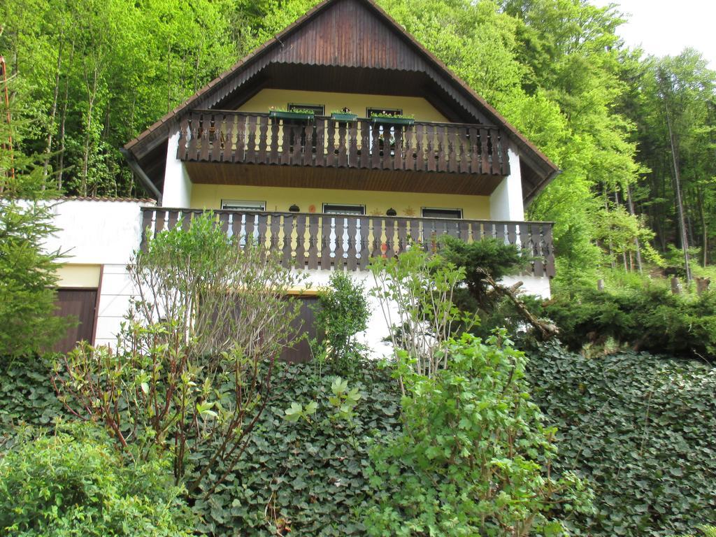 Apartments In Behringersmuehle Goessweinstein Buitenkant foto